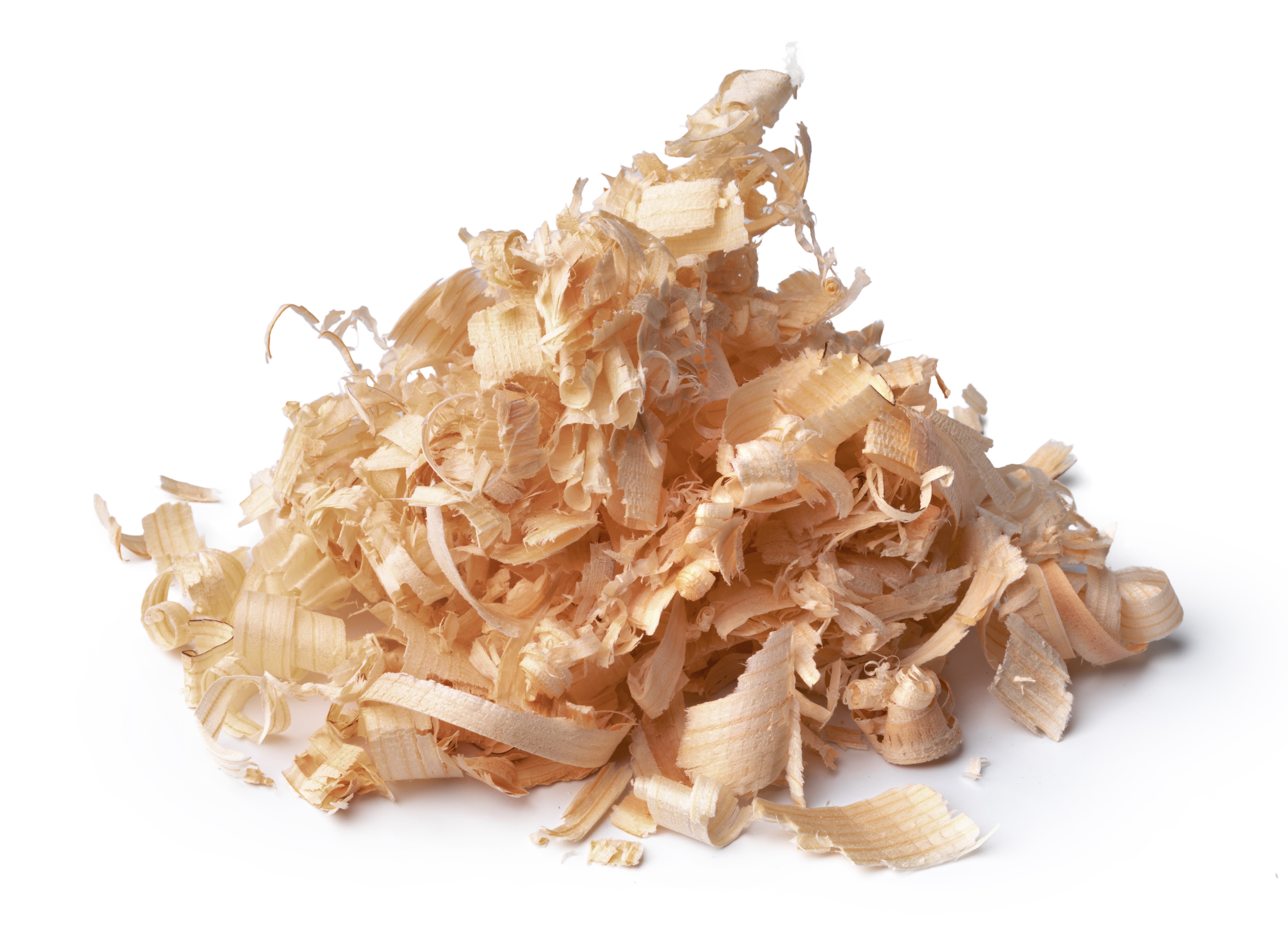 Wood shavings isolated on white background, close up